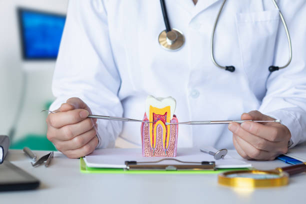 Best Broken or Cracked Tooth Emergency Dentist in Coronado, CA